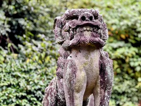 白石神社 白石神社,神社仏閣,パワースポットの写真素材