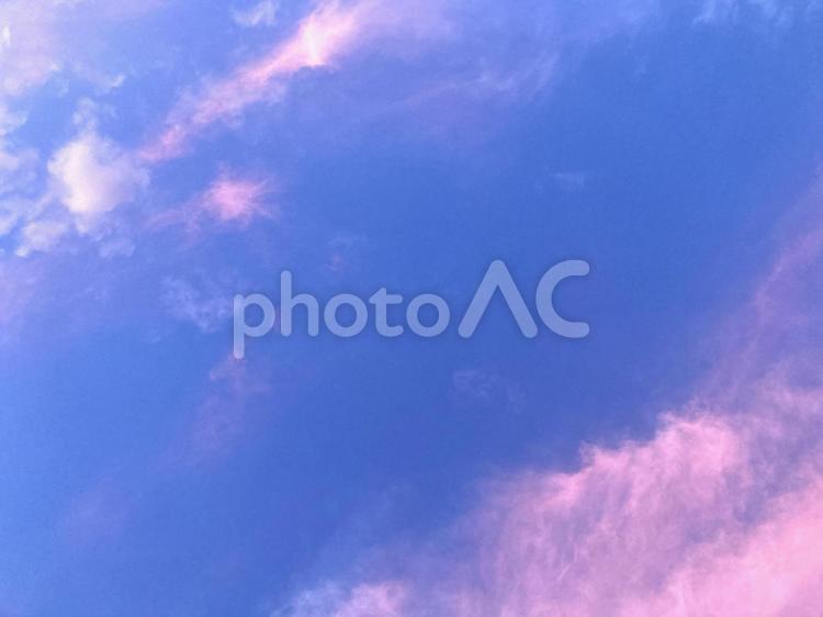 夏の夕暮れ、青空とピンクに染まった雲 空,青空,夕焼けの写真素材