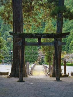 龍穴神社 鳥居,参道,神社の写真素材