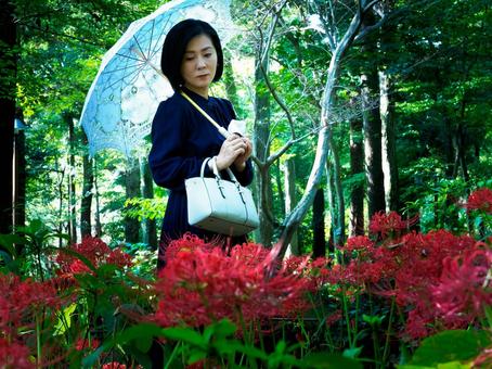 40:彼岸花を静かに眺める女性 40:彼岸花を静かに眺める女性 彼岸花,ミステリアス,悲しげの写真素材