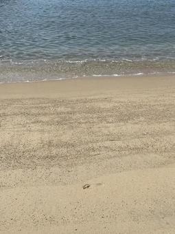 海辺4 海辺4の写真