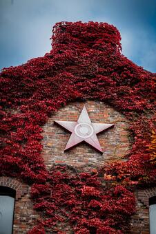 北海道　札幌ファクトリーの秋の風景 北海道,札幌,札幌市の写真素材