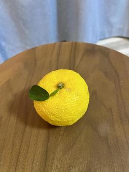 葉付きのゆず ゆず,柚子,冬の写真素材