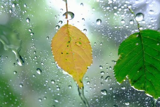 Raindrops, JPG