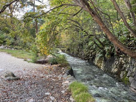 西の河原公園 西の河原公園 草津,温泉,公園の写真素材
