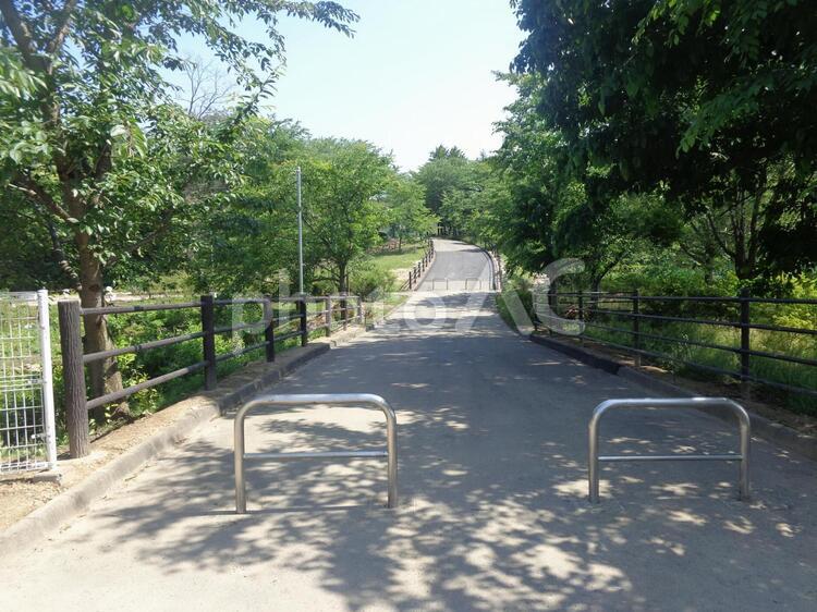 遊歩道2 - No: 732896｜写真素材なら「写真AC」無料（フリー）ダウンロードOK