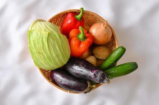 色々な野菜 色々な野菜の写真