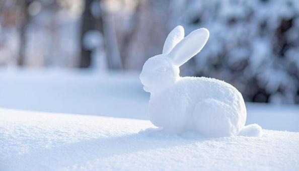 雪うさぎ 雪をウサギの形にして固めた雪像 雪うさぎ 雪をウサギの形にして固めた雪像の写真