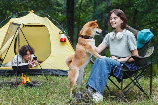 芝生で遊ぶ女性と犬 男女,外国人,犬の写真素材