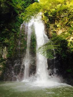 箕面大滝 箕面大滝の写真
