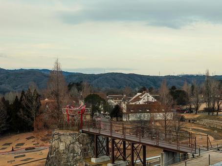 ドイツの森 ドイツの森,欧米,ヨーロッパの写真素材