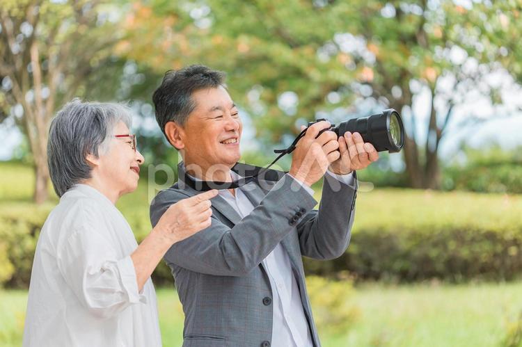 旅行先で一眼レフカメラを使う高齢者夫婦 高齢者,旅行,シニアの写真素材