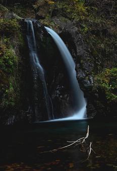 神秘的な滝つぼ 滝,滝壺,枯れ枝の写真素材