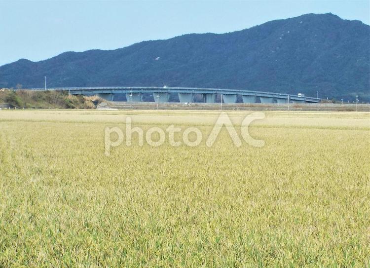 秋の風景 風景写真,風景,秋の写真素材