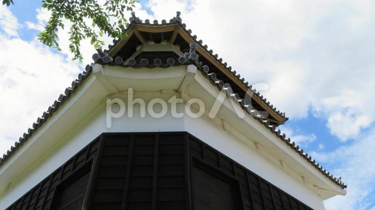 暘谷城　鬼門櫓　鬼門封じの北東隅 暘谷城,日出城,梯郭式の写真素材