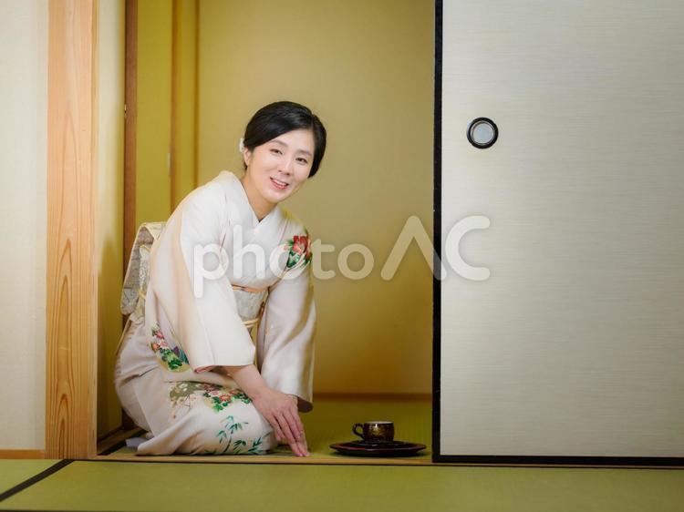 33：お茶をお出しする着物の女性 着物,おもてなし,お茶だしの写真素材