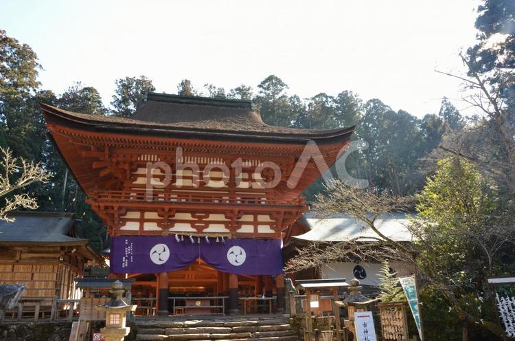 丹生都比賣神社の社殿 神社,パワースポット,秋の写真素材