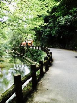 箕面公園 箕面公園 山,川,山道の写真素材