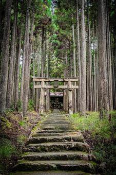 京都　賀茂神社の風景 京都,京都府,京都市の写真素材