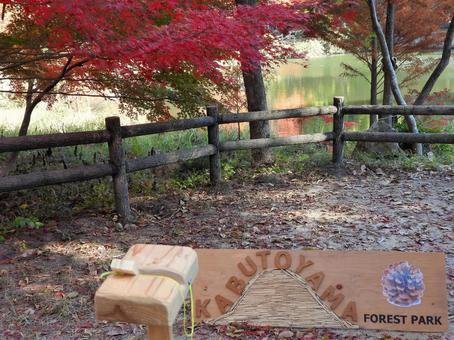 ミクルマ池　ビュースポット 風景,森林,紅葉の写真素材