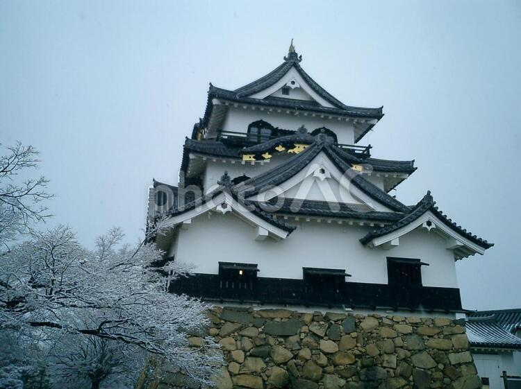 彦根城天守閣 彦根城,彦根,滋賀県の写真素材
