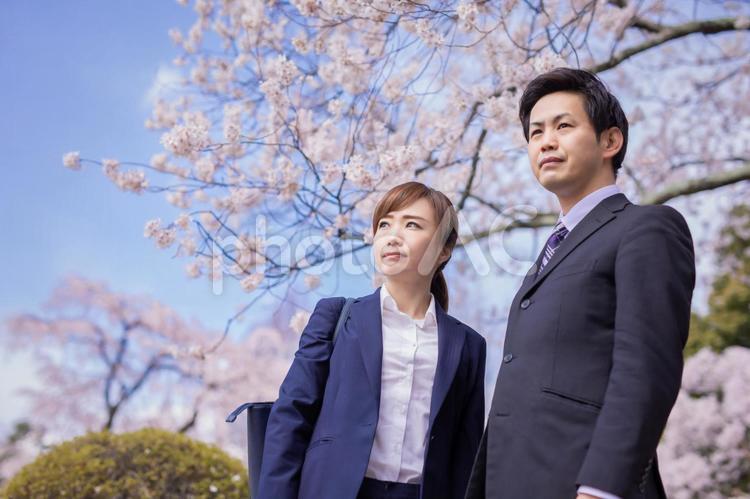 桜と会社員 桜,入社,ビジネスの写真素材