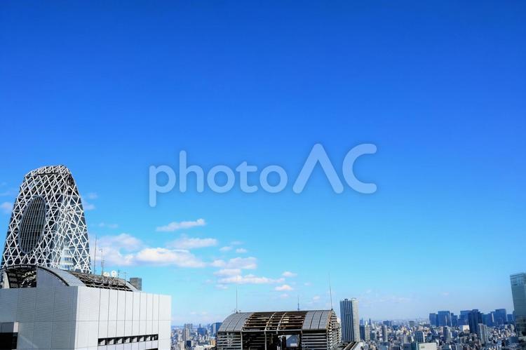 高層階からの西新宿の都市風景 都市風景,西新宿,新宿の写真素材