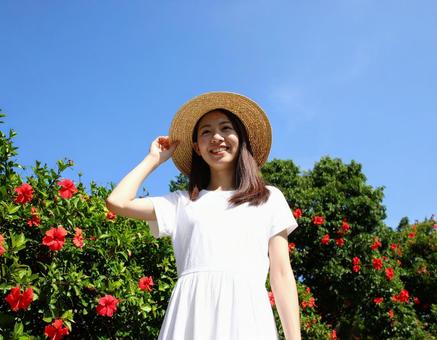 ハイビスカスと、真夏の彼女 ハイビスカスと、真夏の彼女の写真