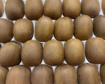 山積みキウイ 果物,果実,フルーツの写真素材