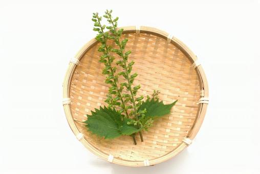 笊にのせた紫蘇の実の写真