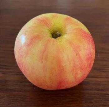 R7.09.11 りんご紅ほっぺ R7.09.11 りんご紅ほっぺの写真