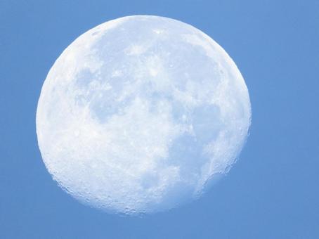 朝の月 2025 11/8  天体,空,月の写真素材