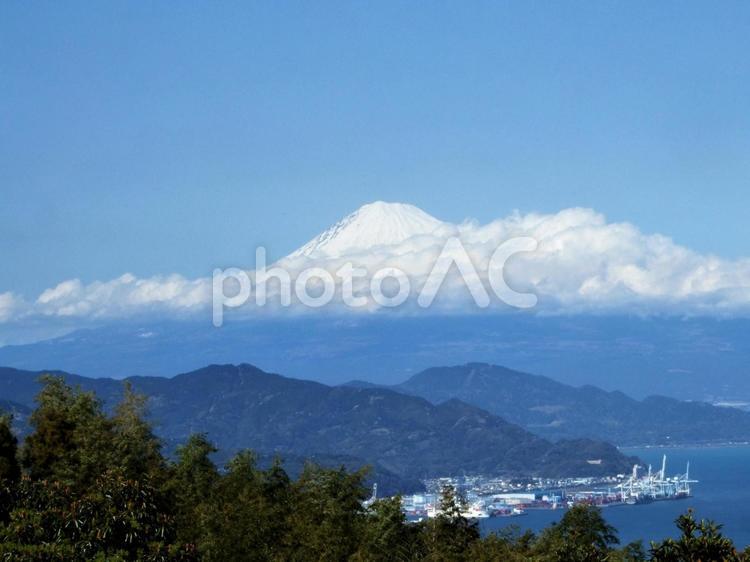 富士山と港も見える風景 富士山,木,美しいの写真素材
