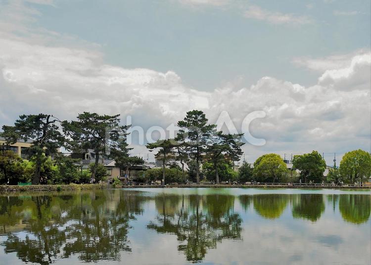 奈良公園の猿沢の池 風景,公園,奈良の写真素材