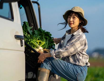 収穫した野菜をトラックに積む農家の女性 収穫した野菜をトラックに積む農家の女性の写真