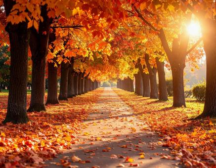 紅葉の並木道 紅葉の並木道の写真