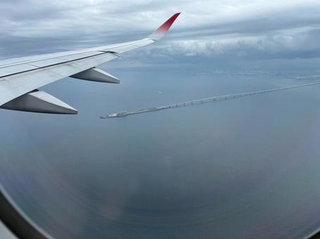 羽 羽 美しい,飛行機,羽の写真素材