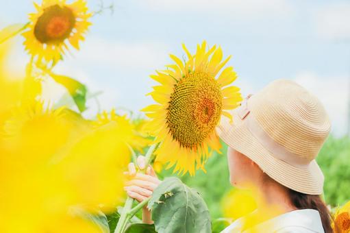 Sunflower and woman Sunflower and woman