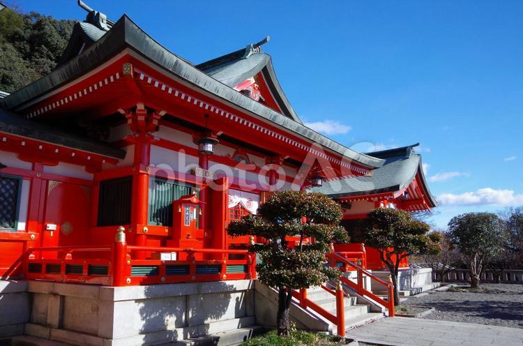 栃木県　足利市　織姫神社 足利,あしかが,織姫神社の写真素材