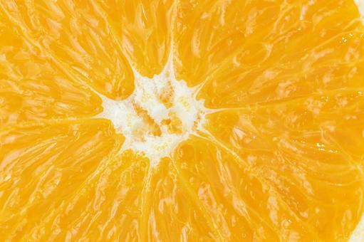 Photo, orange, background, food, 