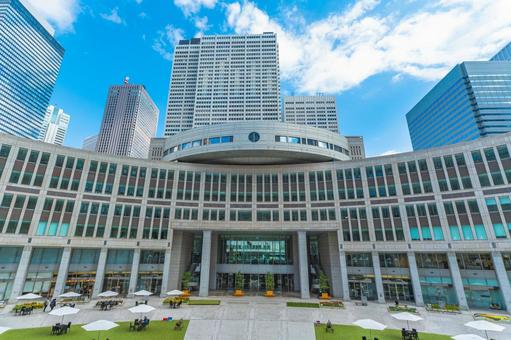 東京都議会議事堂と西新宿の高層ビル群 西新宿,東京都庁,東京都議会議事堂の写真素材