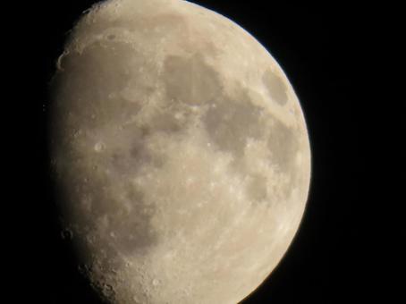 上弦の月 11月,秋,上弦の月の写真素材