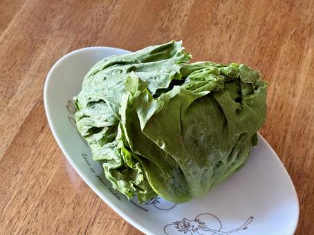 丸ごとレタス レタス,野菜,食材の写真素材