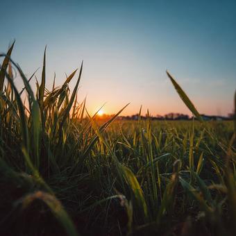 美しい夕焼けが広がる、穏やかな草原の景色 美しい夕焼けが広がる、穏やかな草原の景色の写真