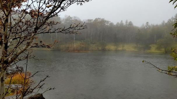 雨の日の湖の写真