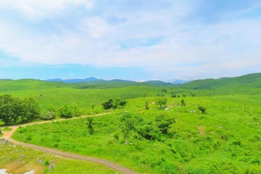 Photo, akiyoshidai, karst plateau, karst, 