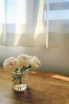 窓際に飾った満開のミニ薔薇③ 窓際に飾った満開のミニ薔薇③ 花,植物,窓際の写真素材
