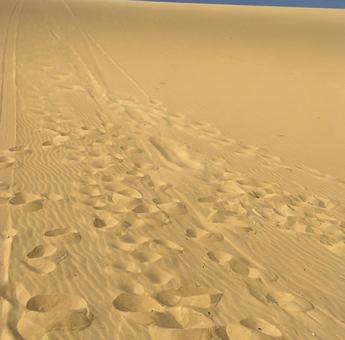 エジプトの砂漠 サハラ砂漠,エジプト,砂の写真素材