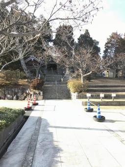 フェリー旅行神社巡り フェリー旅行神社巡りの写真