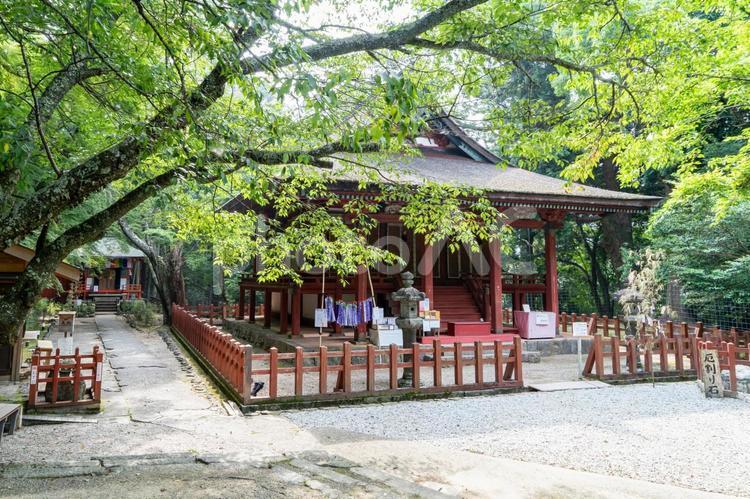 奈良　談山神社　東殿と観音堂 談山神社,談山,神社の写真素材